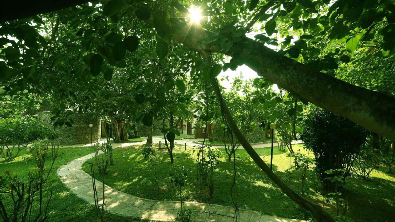 Siddhalepa Ayurveda Resort - All Meals, Ayurveda Treatment And Yoga Wadduwa Exterior foto
