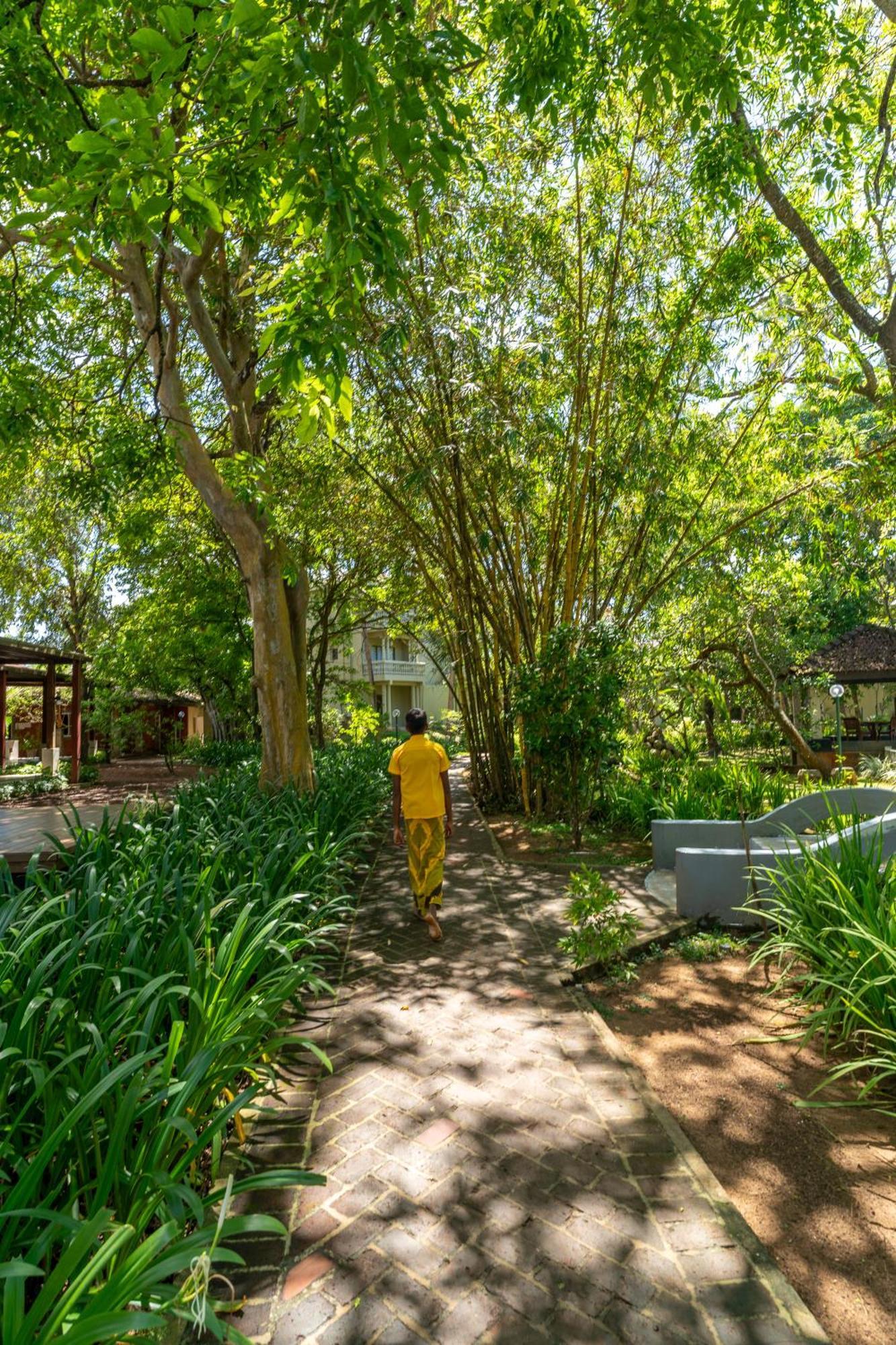 Siddhalepa Ayurveda Resort - All Meals, Ayurveda Treatment And Yoga Wadduwa Exterior foto